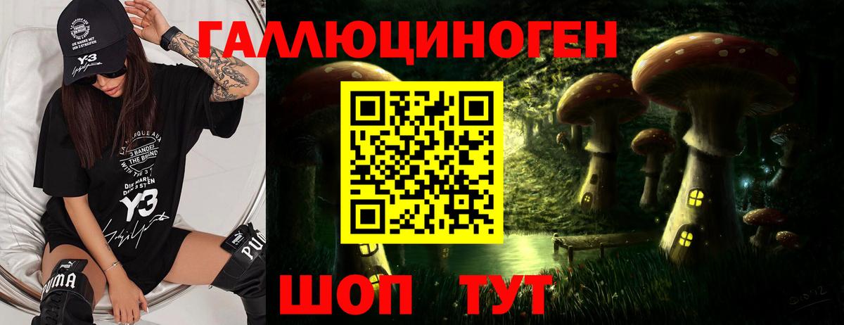 Псилоцибиновые грибы Cubensis Медногорск